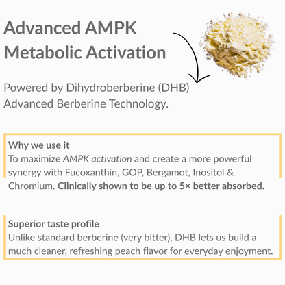 Sliméa™ — The 360° Body Reset System